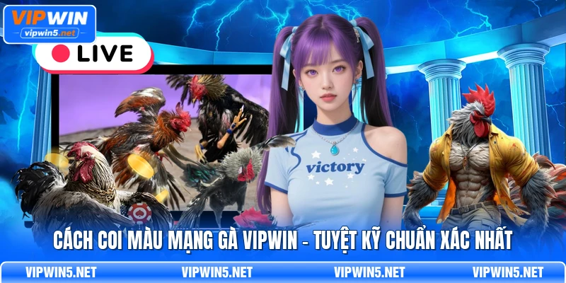 Cách coi màu mạng gà VIPWIN