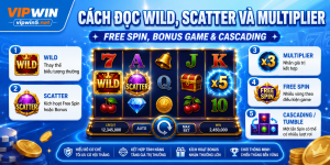 Cách đọc wild scatter và multiplier