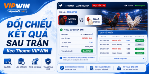 Cách đối chiếu kết quả cho thành viên
