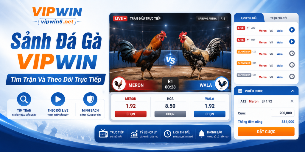 Sảnh Đá Gà VIPWIN – Tìm Trận Và Theo Dõi Trực Tiếp