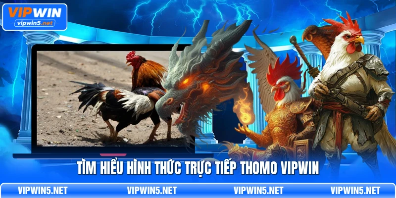 Trận Thomo cần được nhận diện bằng khu vực, hai phía thi đấu và mã trận đang hiển thị.