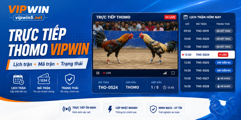 Trực Tiếp Thomo VIPWIN – Lịch Trận, Mã Trận Và Trạng Thái