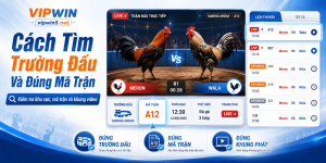 Cách tìm trường đấu và mã trận cho thành viên