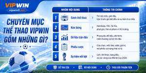 Những nhóm nội dung chính trong chuyên mục Thể Thao VIPWIN.