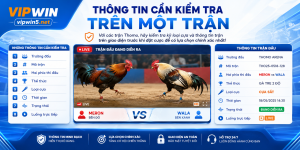 Những thông tin cần kiểm tra khi tham gia một trận đấu
