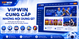 website VIPWIN cung cấp những nội dung gì cho người dùng ?